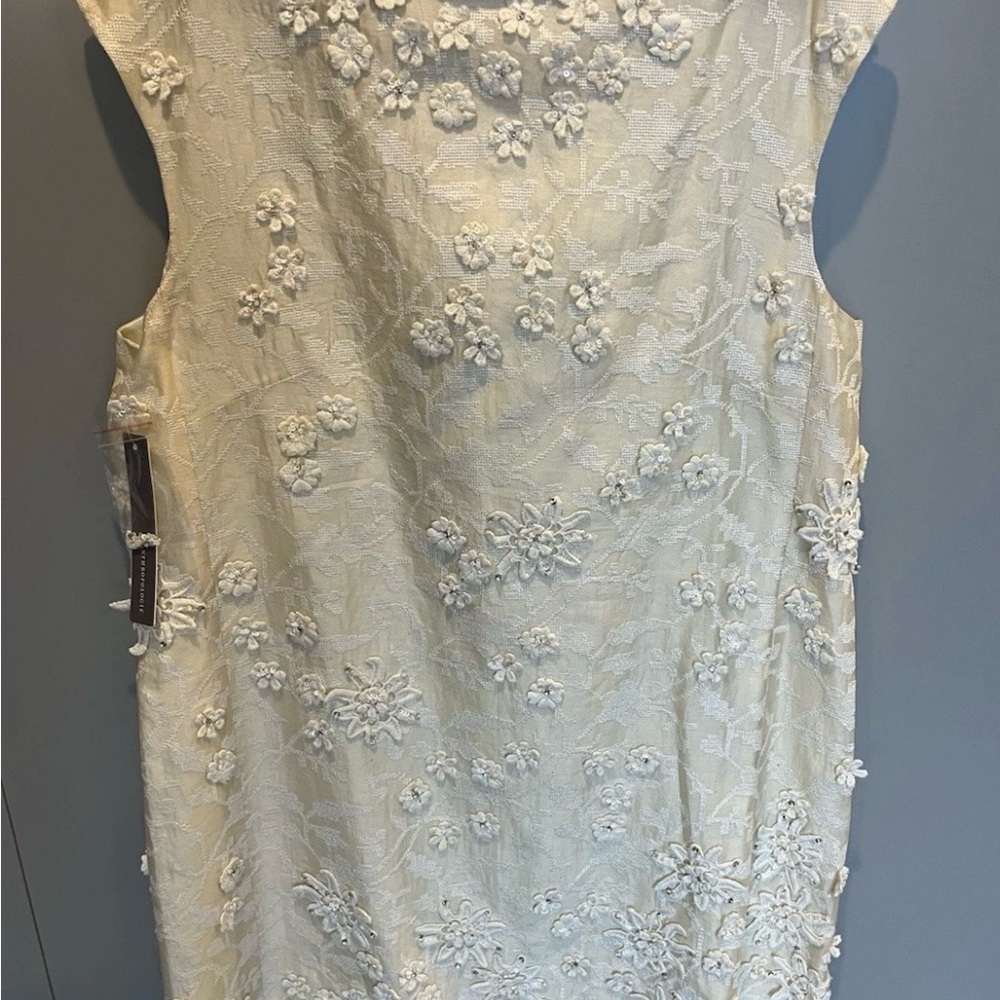 NWT Anthropology sleeveless dress